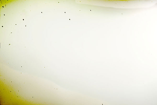 Nikon D600 Dust Issue