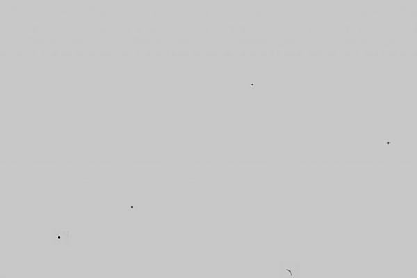 Nikon D600 Dust Issue