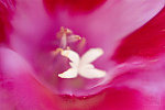 Click to see DSC_0248.jpg