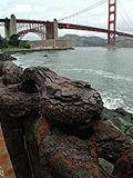 WA Depth of Field