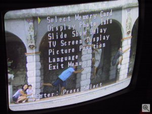 SanDisk's Digital Photo Viewer. Copyright (c) 2003, Michael R. Tomkins. All rights reserved. Click for a bigger picture!