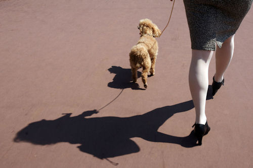 Caption. Click for a bigger picture!