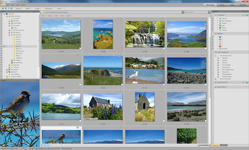 ACDSee 12 in Manage mode. Screenshot provided by ACD Systems International Inc. Click for a bigger picture!