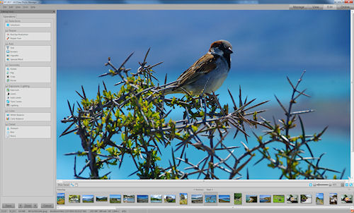 ACDSee 12 in Process mode. Screenshot provided by ACD Systems International Inc. Click for a bigger picture!