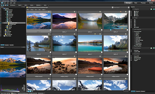ACDSee Pro 3 in the new Manage mode. Photo provided by ACD Systems International Inc. Click for a bigger picture!