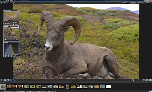 ACDSee Pro 3 in the new View mode. Photo provided by ACD Systems International Inc. Click for a bigger picture!