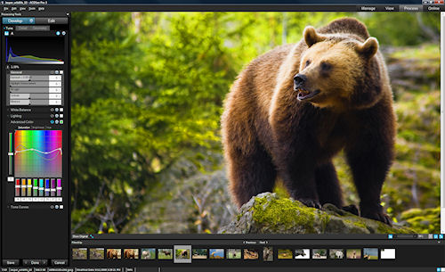 ACDSee Pro 3 in the new Process mode. Photo provided by ACD Systems International Inc. Click for a bigger picture!