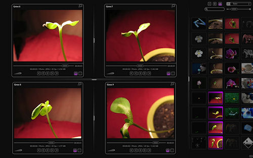 AtomicView 1.3 in use. Screenshot provided by AntZero. Click for a bigger picture!