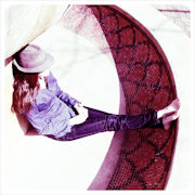 A sample image batch processed with CameraBag Desktop v1.5. Photo provided by Nevercenter Ltd. Co. Click for a bigger picture!