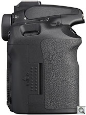 Canon EOS 50D digital SLR. Courtesy of Canon, with modifications by Zig Weidelich. Click for a bigger picture!