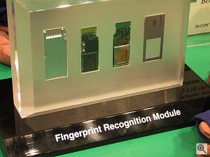 Copyright (c) 2000, Michael R. Tomkins.  All rights reserved. Click for a bigger picture!