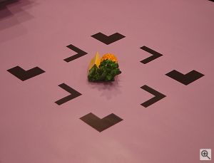 The object and background. Copyright &copy; 2001, Michael R. Tomkins. All rights reserved. Click for a bigger picture!