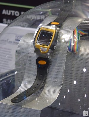 Color Wrist Cam. Copyright © 2001, Michael R. Tomkins. All rights reserved. Click for a bigger picture!