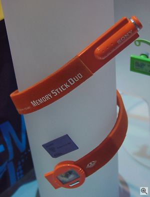 Duo 'Snake' Digital Camera. Copyright &copy; 2001, Michael R. Tomkins. All rights reserved. Click for a bigger picture!