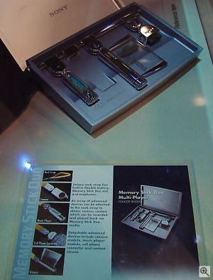 Duo Multi-Player accessories. Copyright &copy; 2001, Michael R. Tomkins. All rights reserved. Click for a bigger picture!