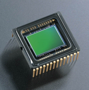 Nikon's Coolpix 8800 digital camera. Courtesy of Nikon, with modifications by Michael R. Tomkins. Click for a bigger picture!