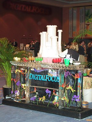 Digital Focus 2001 - the incredible ice sculpture / bar at the entrance to the event. Copyright (c) 2001, Michael R. Tomkins. All rights reserved.
