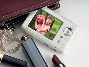 Kodak's EasyShare Picture Viewer. Courtesy of Eastman Kodak Co., with modifications by Michael R. Tomkins. Click for a bigger picture!