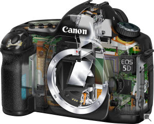 Canon's EOS 5D digital SLR. Courtesy of Canon, with modifications by Michael R. Tomkins. Click for a bigger picture!