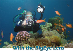 Photo captured using Fantasea Line's BigEye lens. Photo provided by H.R. Fantasea Photo and Marketing Ltd.