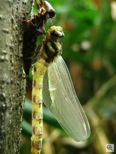 Sample photo from Fuji's FinePix S5000 digital camera. Courtesy of Fuji, Click here to see the original image on Fuji's website!