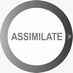 Assimilate's logo. Click here to visit the Assimilate website!
