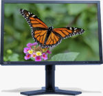 LaCie's 526 Monitor. Courtesy of LaCie, with modifications by Michael R. Tomkins.