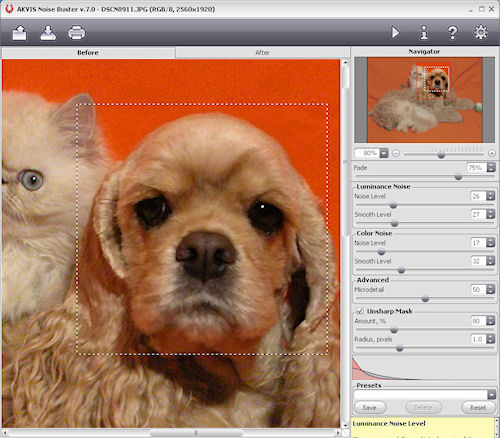 AKVIS' Noise Buster 7.0 for Windows. Photo provided by AKVIS Software Inc. Click for a bigger picture!