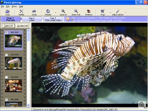 PhotoLightning's interface. Image copyright &copy; 2002, The Imaging Resource.  All rights reserved. Click for a bigger picture!