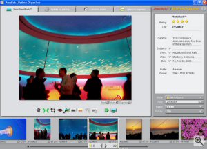 Preclick's Lifetime Photo Organizer. Courtesy of Preclick Corp., with modifications by Michael R. Tomkins. Click for a bigger picture!