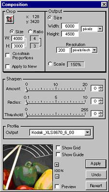 Kodak's DCS Capture Studio Version 1.5, 'Composition' dialog. Courtesy of Kodak.