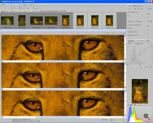Pixmantec's Rawshooter | premium 2006. Courtesy of Pixmantec, with modifications by Michael R. Tomkins. Click for a bigger picture!