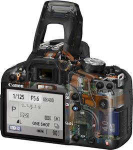 Canon's EOS 500D Rebel T1i digital SLR. Photo provided by Canon USA Inc. Click for a bigger picture!