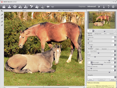 AKVIS Sketch v11 can also create colored sketch and watercolor effects. Screenshot provided by AKVIS. Click for a bigger picture!