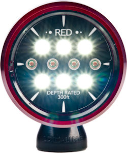 The Sola 600 compact imaging light offers both white and red illumination. Photo provided by Light & Motion. Click for a bigger picture!