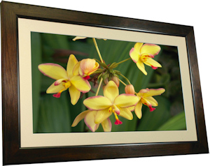 Smartparts SP3200WF 32-inch LCD picture frame, front view. Photo provided by Smartparts Inc. Click for a bigger picture!