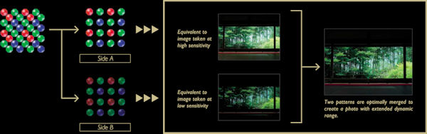 Two concurrent exposures yield a single image. Click for a bigger picture!