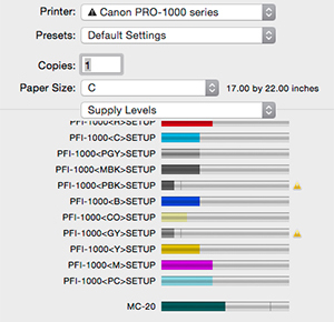 Canon PRO-1000 Review -- Ink Levels After