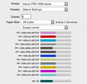 Canon PRO-1000 Review -- Ink Levels Before