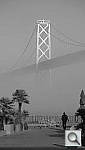 Click to see YIMG_0038.JPG