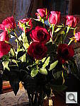 Click to see YIMG_0048.JPG
