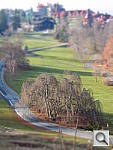 Click to see YIMG_0066.JPG