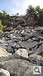 Click to see YIMG_0095.JPG