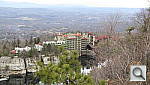 Click to see YIMG_0127.JPG