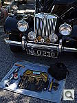 Click to see YIMGP0598.JPG