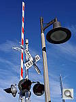 Click to see YIMGP2694.JPG