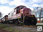 Click to see YIMGP2743.JPG