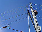 Click to see YIMGP2786.JPG