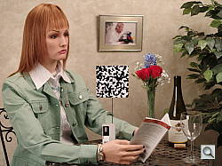 Click to see 645DINBAP2.JPG