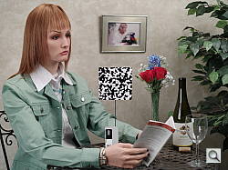 Click to see 645DINBTP2.JPG